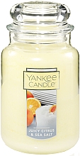 Духи, Парфюмерия, косметика Ароматическая свеча - Yankee Candle Juicy Citrus & Sea Salt