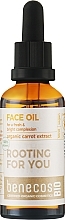 Парфумерія, косметика Органічна олія сливових кісточок для обличчя - Benecos BIO Organic Plum Seed Face Oil