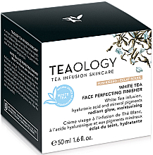 Тонирующий крем для лица с экстрактом белого чая - Teaology White Tea Face Perfecting Finisher — фото N2