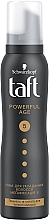 Пена-мусс для волос "Power. Сила кератина", мегафиксация 5 - Taft Keratin Power 5  — фото N1