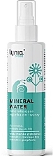 Мінеральна вода-спрей зі слизом равлика - Lynia Snail Slime Mineral Water — фото N1