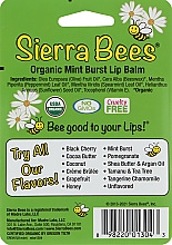 Набір бальзамів для губ "М'ята" - Sierra Bees (lip/balm/4x4,25g) — фото N2
