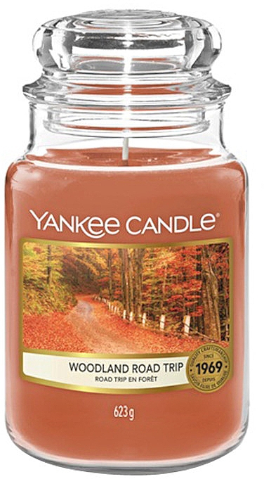 Ароматическая свеча в банке - Yankee Candle Woodland Road Trip — фото N2