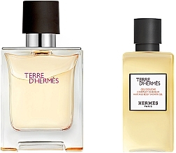 Hermes Terre d’Hermes - Набор (edt/50ml + sh/gel/40ml) — фото N2