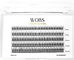 Парфумерія, косметика Накладні пучкові вії, 5 стрічок, 8,9,10,11,12mm - WoBs Fish Tail 20D, 0.1