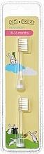 Парфумерія, косметика Змінна голівка для дитячої зубної щітки, 18-36 місяців - Profimed Bob & Bobek Head Brush