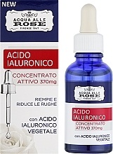Активный концентрат гиалуроновой кислоты - Roberts Acqua alle Rose Acido Ialuronico Concentrato Attivo — фото N2