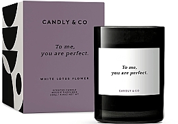 Духи, Парфюмерия, косметика Ароматическая свеча - Candly&Co No.8 To Me, You Are Perfect. Scented Candle