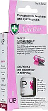 Парфумерія, косметика Кондиціонер з біотином для нігтів - Verona Laboratories Nail Up Conditioner With Biotin