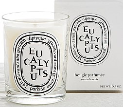 Ароматическая свеча - Diptyque Eucalyptus Candle — фото N3