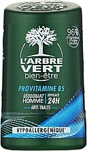 Дезодорант для мужчин с провитамином В5 - L'Arbre Vert Deodorant  — фото N3