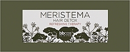 Парфумерія, косметика Лосьйон «Освіжальна терапія» на основі стовбурових клітин - BBcos Meristema Refreshing Therapy