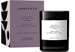 Ароматична свічка - Candly&Co No.8 You And I Are More Than Friends. Scented Candle — фото N1