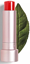 Парфумерія, косметика Бальзам для губ - Teaology Tea Balm Lip Cherry Tea