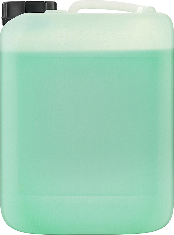Шампунь зі свіжою м'ятою і ментолом освіжальний - Dott. Solari Science & Welness Fresh Mint Shampoo With Menthol Salon Size — фото N2