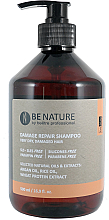 Шампунь для сухого і пошкодженого волосся - Beetre BeNature Damage Repair Shampoo — фото N1