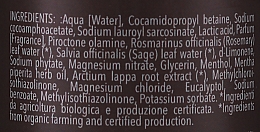 Шампунь, який регулює секрецію шкірного сала - BioMAN Caleb Sebum Regulating Shampoo (з помпою) — фото N3