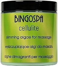 Моделирующий массажный гель для тела - BingoSpa Fitness Slimming Algae for Massage — фото N1