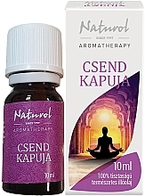 Парфумерія, косметика Ефірна олія "Gate of silence" - Naturol Aromatherapy