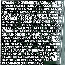 Успокаивающий шампунь против перхоти - L'Oreal Paris Elvive Phytoclear Antiforfora Shampoo  — фото N3
