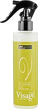 Термозащитный двухфазный бальзам-спрей для волос - Visage Heat Protection Balsam Spray — фото N1