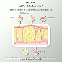 Антицеллюлитный энзимный гель - Hillary Anti-cellulite Gel Zymo Cell — фото N6