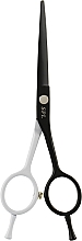Ножиці перукарські, 5.5 - SPL Professional Hairdressing Scissors 90029-55 — фото N1