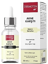 Парфумерія, косметика Сироватка для обличчя проти акне - Dermoten Anti Aсne Serum