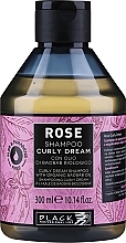 Шампунь для волосся - Black Professional Line Rose Shampoo Curly Dream — фото N1