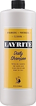 Духи, Парфюмерия, косметика Ежедневный шампунь для волос - Layrite Daily Shampoo