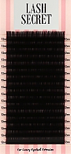 Накладные ресницы, черные, 16 линий (один размер, 0,05, C, 12) - Lash Secret — фото N1