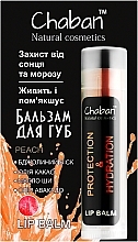 Духи, Парфюмерия, косметика Бальзам для губ "Персик" - Chaban Natural Cosmetics Lip Balm 