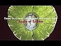 Ночная маска-крем против глубоких морщин - Ahava Apple of Sodom Overnight Deep Wrinkle Mask — фото N1