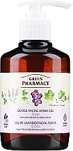 Ніжний гель для умивання  - Green Pharmacy Sage Gentle Facial Wash Gel — фото N1