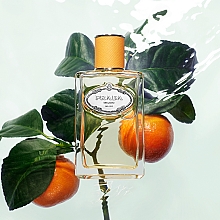 prada les infusions mandarine