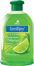 Шампунь для жирного волосся - Pollena Savona Familijny Fruity Care Shampoo Energy & Shine — фото N1