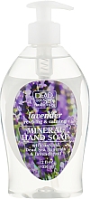 Рідке мило з мінералами Мертвого моря та олією лаванди - Dead Sea Collection Lavender Hand Wash with Natural Dead Sea Minerals — фото N1
