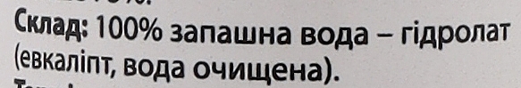 Тоник-гидролат "Эвкалипт" - Bioactive Universe Biotonik Hydrolyte — фото N4