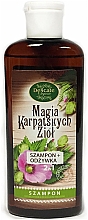 Парфумерія, косметика Шампунь-кондиціонер для усіх типів волосся - Delicate Organic Magic Carpathian Herbs Shampoo