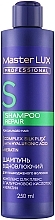 Шампунь для поврежденных волос "Восстанавливающий" - Master LUX Professional Repair Shampoo — фото N1