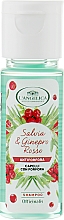 Духи, Парфюмерия, косметика Лечебный шампунь против перхоти - L'Angelica Officinalis Shampoo (мини)