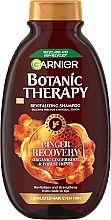 Відновлювальний шампунь для виснаженого та навіть тонкого волосся "Імбирне Відновлення" - Garnier Botanic Therapy — фото N1