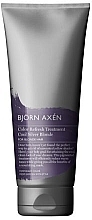 Маска від жовтизни волосся - BjOrn AxEn Color Refresh Treatment Cool Silver Blonde — фото N1