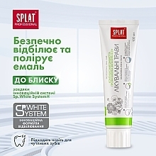 УЦЕНКА Зубная паста "Лечебные травы" - SPLAT Professional Medical Herbs * — фото N14