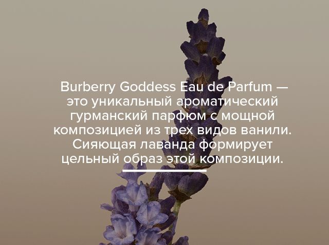 Burberry Goddess