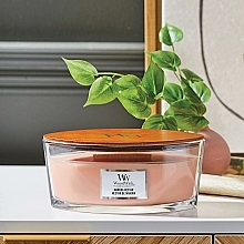 Ароматическая свеча в стакане - Woodwick Ellipse Candle Manuka Nectar — фото N3