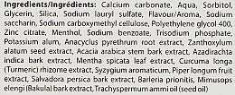 Зубная паста "Травяная" - Patanjali Herbal Toothpaste — фото N3