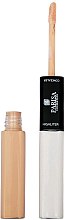 Духи, Парфюмерия, косметика Жидкий консилер+хайлайтер CH-01 - Parisa Cosmetics CH-01 Under Eye Highlighter And Concealer