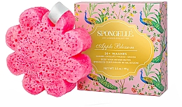 Пінна багаторазова губка для душу - Spongelle Art Chinois Apple Blossom Body Wash Infused Buffer — фото N1