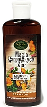 Парфумерія, косметика Шампунь для сухого волосся - Delicate Organic Magic Carpathian Herbs Shampoo For Dry Hair